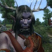Daemona Druida (druid variant)